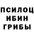 Псилоцибиновые грибы мухоморы Alexander Lukjanenko
