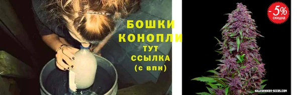 МДМА Бородино