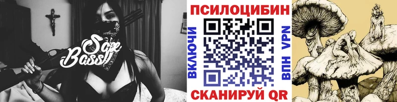 Псилоцибиновые грибы мицелий  Купить закладки  Нововоронеж 